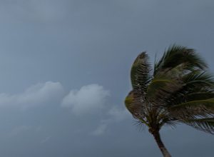 chuvas-atingem-norte,-nordeste-e-litorais-de-sul-e-sudeste-esta-semana